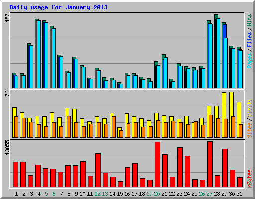 Daily usage for January 2013