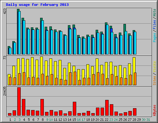 Daily usage for February 2013