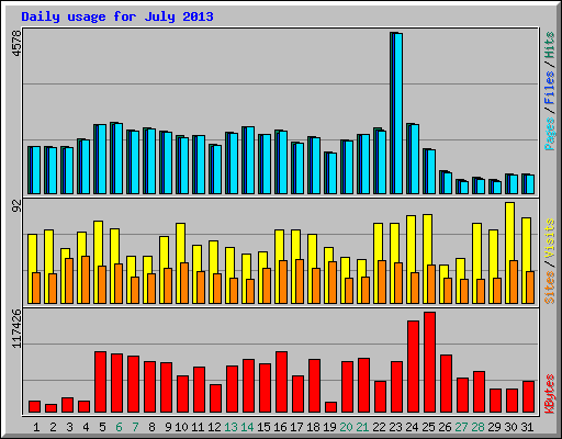 Daily usage for July 2013