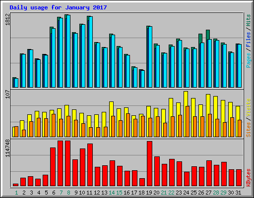 Daily usage for January 2017