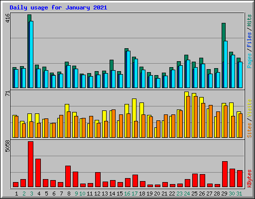 Daily usage for January 2021