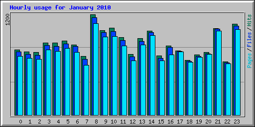 Hourly usage for January 2010