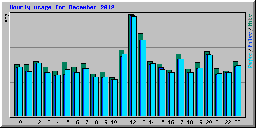 Hourly usage for December 2012