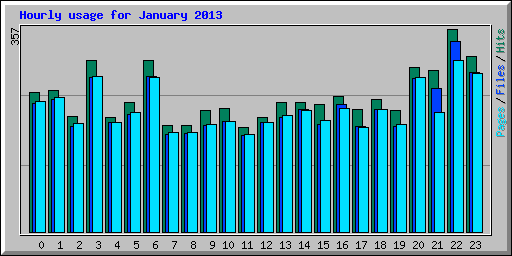 Hourly usage for January 2013