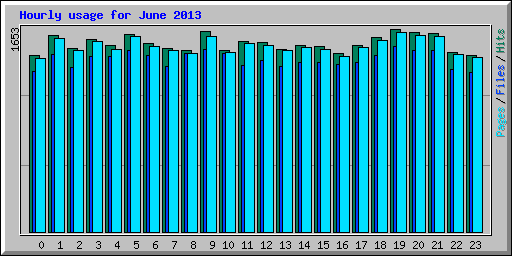 Hourly usage for June 2013