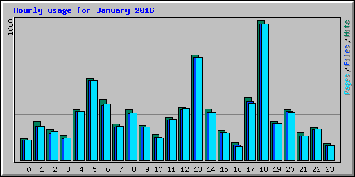 Hourly usage for January 2016