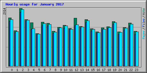 Hourly usage for January 2017
