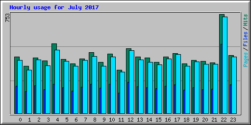Hourly usage for July 2017