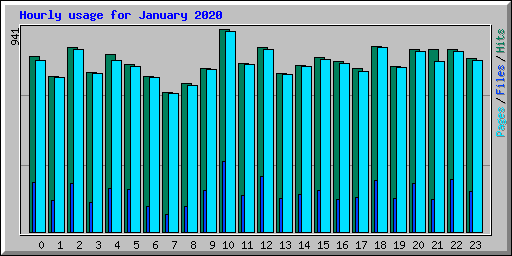 Hourly usage for January 2020