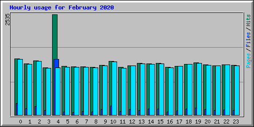 Hourly usage for February 2020