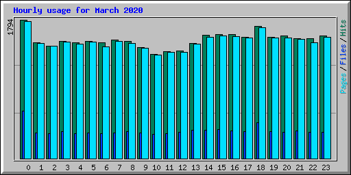 Hourly usage for March 2020