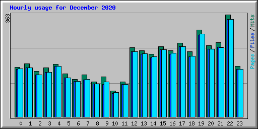 Hourly usage for December 2020