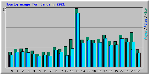 Hourly usage for January 2021