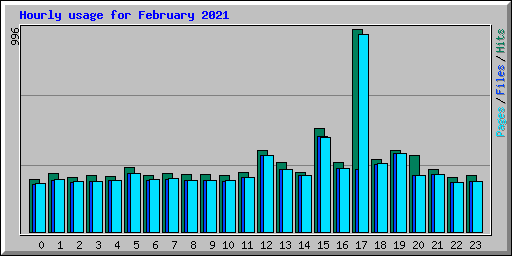 Hourly usage for February 2021